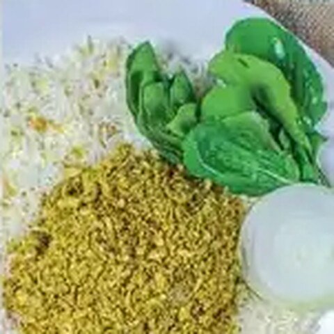 وعده جشید کوسه بحرنا